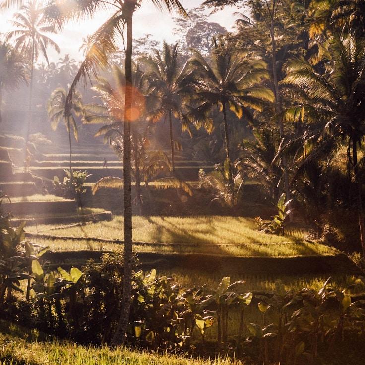 Family terraces and cafés for calm evenings in Ottawa
